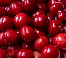 fresh cherry or sweet cherry macrosomka