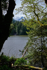 Alpha Mountain seen across Alice Lake and surrounding forest, BC