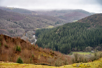 Precipice Walk, Dolgellau, Wales