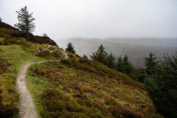 Precipice Walk, Dolgellau, Wales