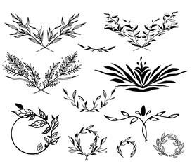 Fototapeta premium Sketch vector vintage elements wreath, leaves, frame. Ideal for invitations, greeting cards, quotes, blogs, wedding frames, posters. Objects isolated from the background. Vector graphics 