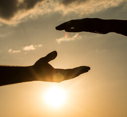 Hands sunset. Man hand. Sunset. Photo. Sky. 