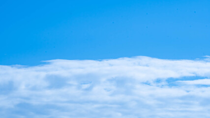 Fototapeta premium 青空