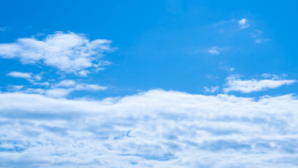 Fototapeta premium 青空