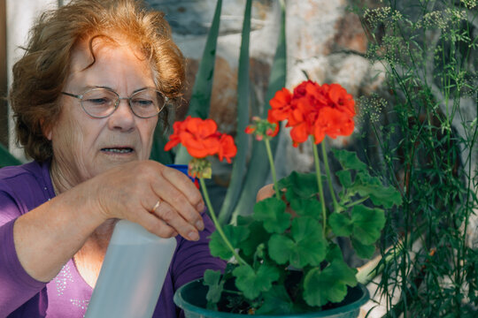 Senior Woman Watering And Caring For Plants