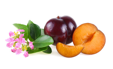 red cherry plum with green leaves isolated on white background