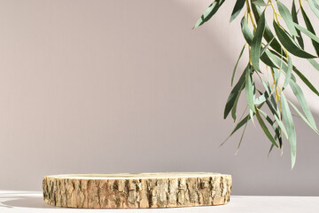 Podium for product presentation. A minimalistic scene of a felled tree with a branch of greenery with natural shadows. - obrazy, fototapety, plakaty