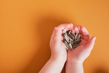 sunflower seeds in children's palms on brown background