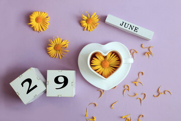 Calendar for June 29: the name of the month of June in English, cubes with the number 29, a cup of tea with a chamomile in it, yellow chamomile flowers with petals on a pastel background, top view