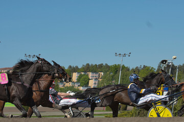 210530 - Elitloppet trotting event at Solvalla track in Stockholm Sweden. High quality photo