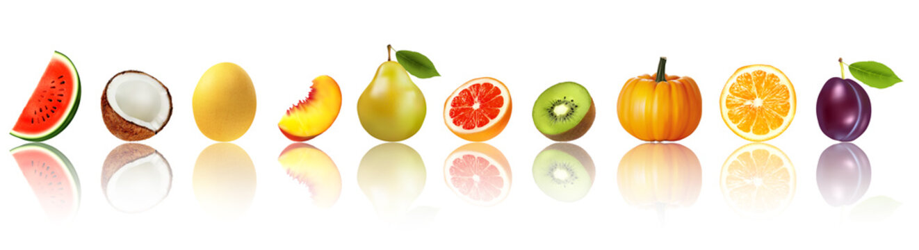 Panorama of fresh fruits and vegetables in row with reflection. Watermelon, coconut, honey melon, peach, pear, grapefruit, kiwi, pumpkin, orange, plum. Vector.