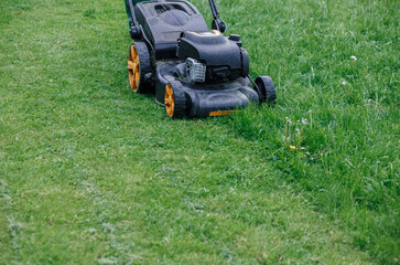 The process of mowing grass or lawn with a mower. Landscaping. The gardener works with the lawn