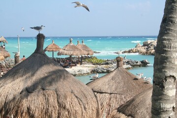 Mexican Paradise Beach