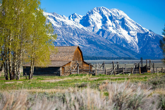 John Moulton Barn in Mormon Row Historic District in Grand Teton National Park, Wyomin