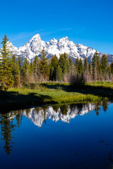 Fototapeta na wymiar Schwabacher Landing in the early morning in Grand Teton National Park, Wyoming, with mountain reflections on the Snake River