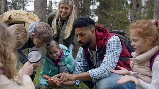 African-american teachers with group of small children outdoors in nature, learning group education concept.