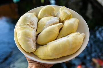 durian on a plate