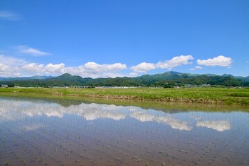 Fototapeta premium 水田と山並み（福島県・喜多方市）