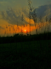 A Beautiful Sunset With Little Few Trees