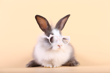 Obraz premium Adorable little baby rabbit on light orange background. Young cute baby bunny sit lively. Fluffy pet in studio.