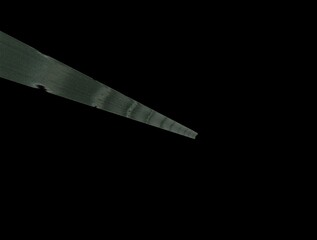 Imaginatory fractal background generated Image