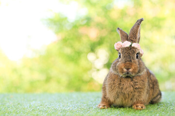 Adult rabbit sits on green graas in nature bokeh as background. Lovely mature bunny wears flower wreath on its head. Cute pet photo.