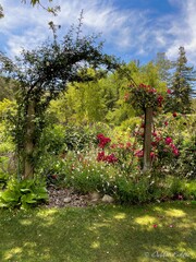Beautiful arbor covered with climbing roses in a botanical garden on a sunny day and blue skies. 
