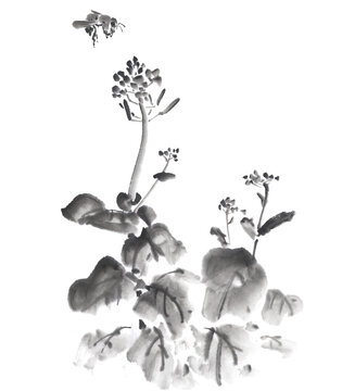 菜の花とミツバチ 墨絵イラスト Stock Illustration Adobe Stock