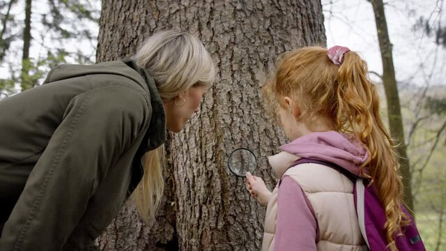 Small girl with teacher examining tree with magnifying glass in nature, learning group education concept.
