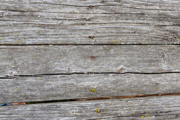 Fototapeta premium Wooden board that are the top of an old picnic table with rusty nails.