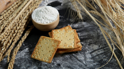 Preparation of knead dough for cracker or pastry to bake a bread. Make and knead dough.