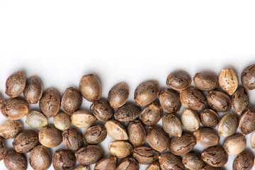 cannabis seeds on white background, close up of hemp seeds for planting agriculture herbal...