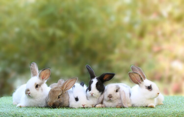 Cute litte rabbit on green grass with natural bokeh as background. Young adorable bunny playing in garden.