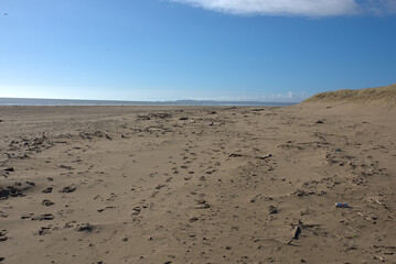 sand dunes in the desert