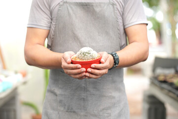 Male farmer in cactus farm. Small plannt indoor market. Seller in grey T-shirt and apron.