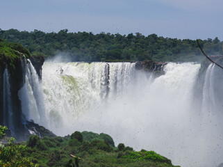 Devil's Throat at Iguazu Falls full of swift or vencejos birds
