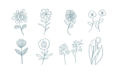 線画の花と植物のイラスト手描きタッチ　
Line art flower and plant illustration hand drawn touch, botanical