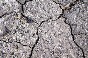 Cracks in the ground after rain. Dried earth with cracks