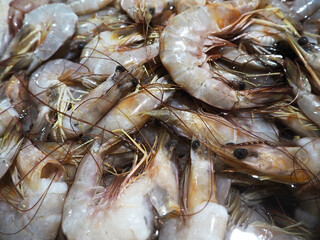 shrimp at the market