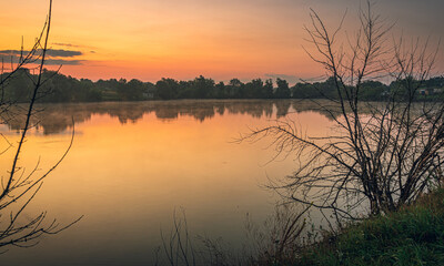 Obraz premium Summer landscape