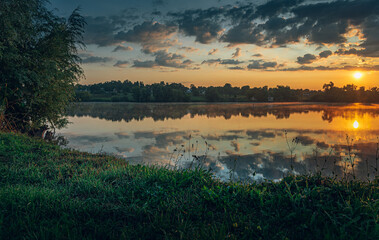 Summer landscape