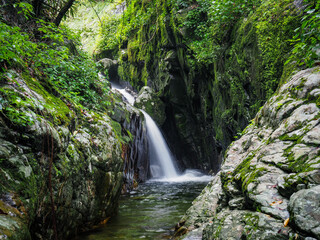 Green natural waterfall