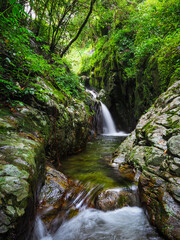 Green natural waterfall