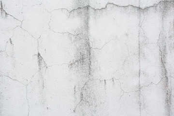 Cracks and moss stains on the cement wall