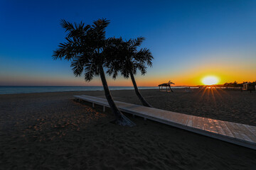 Coconut tree landscape on the beach, North China