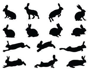 Black silhouettes of rabbits on white background