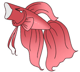 あくびをするベタ（赤色）