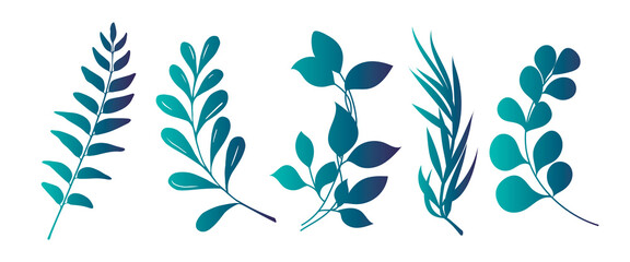 Set of beautiful green leaves plants, leaves, plant design. Vector illustration .