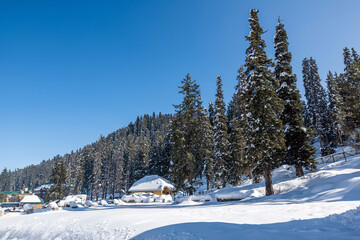 Winter season, Gulmarg is a town, a hill station, a popular tourist & skiing destination, Kashmir, India