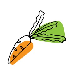  Vector illustration of orange carrot with green foliage in doodle style